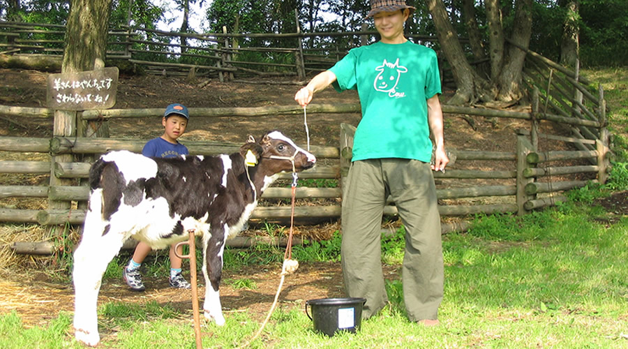 MUSIC ZOO ����T�V���c�@�����@�~���N