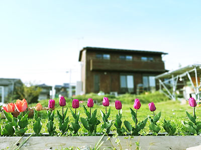 MUSIC ZOO �A�g���G �f�U�C���������BHP����B����� ���Ð� �K�[�f�� �`���[���b�v