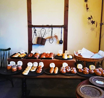 MUSIC ZOO �W �n���h���C�h �A�j�}�� ���� T�V���c at����� ���Ð��Â���p���ӂ��ӂ�