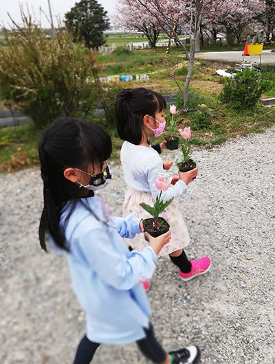 MUSIC ZOO �W �n���h���C�h �A�j�}�� ���� T�V���c at����� ���Ð��Â���p���ӂ��ӂ�